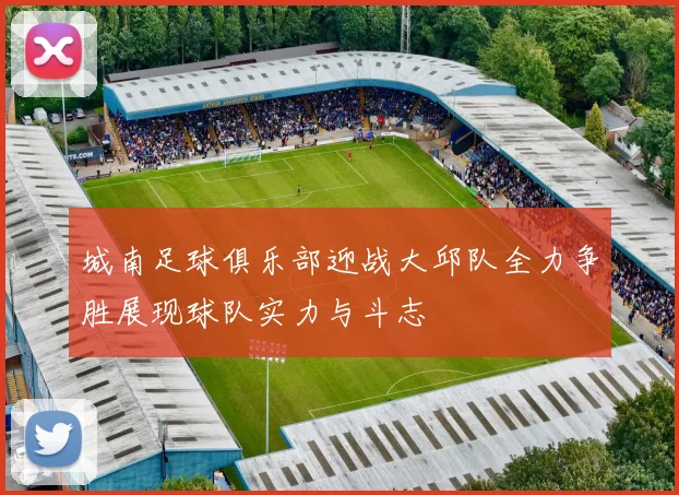 城南足球俱乐部迎战大邱队全力争胜展现球队实力与斗志
