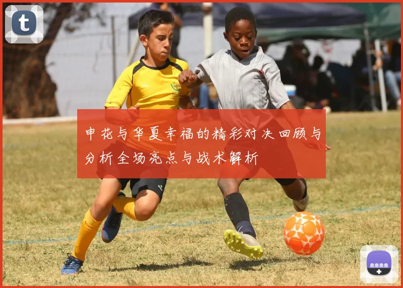 申花与华夏幸福的精彩对决回顾与分析全场亮点与战术解析